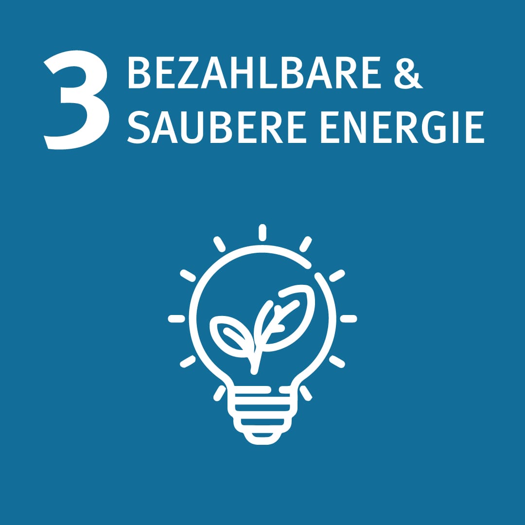 magnesia_csr_3-bezahlbare-saubere-energie Bezahlbare und saubere Energie - Glühbirne mit Blatt